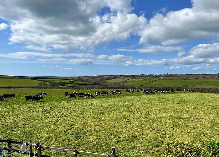 Croft View