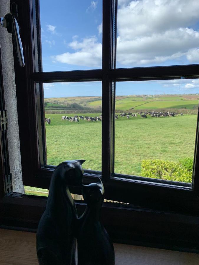 Croft View
